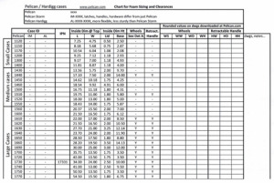 case-sizes-TN